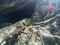 carousel chooser