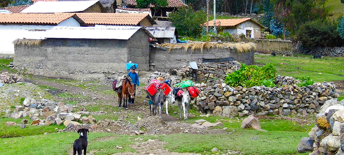 carousel chooser